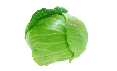 ЗЕЛКА