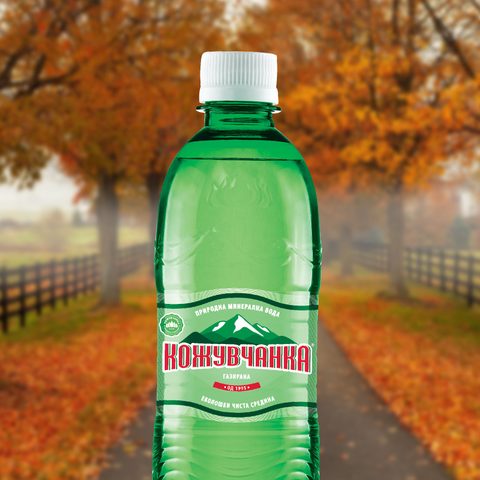 ВОДА ГАЗИРАНА КОЖУВЧАНКА 0.5 Л
